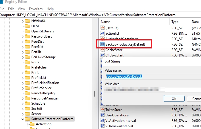 Windows Key in Registry